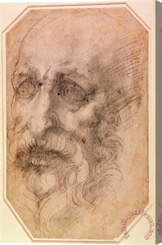 Michelangelo Buonarroti Portrait of a Bearded Man Stretched Canvas Painting / Canvas Art