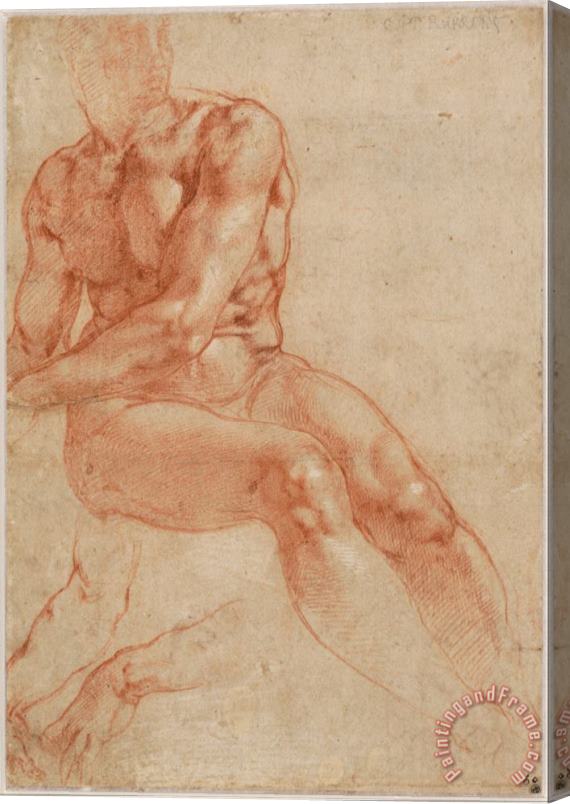 Michelangelo Buonarroti Seated Young Male Nude And Two Arm Studies (recto) Stretched Canvas Painting / Canvas Art