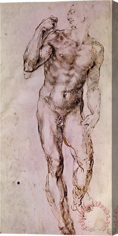 Michelangelo Buonarroti Sketch of David with His Sling 1503 4 Stretched Canvas Painting / Canvas Art