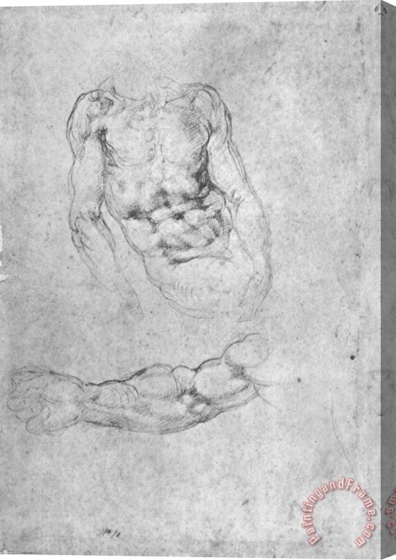 Michelangelo Buonarroti Studies for Pieta Or The Last Judgement Stretched Canvas Print / Canvas Art