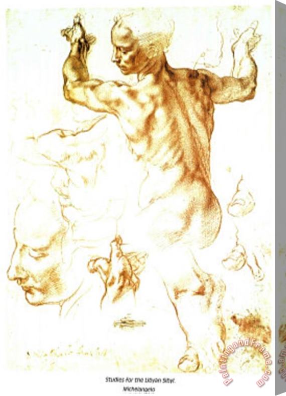 Michelangelo Buonarroti Studies for The Libyan Sibyl Stretched Canvas Painting / Canvas Art