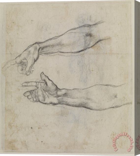Michelangelo Buonarroti Studies of an Outstretched Arm for The Fresco 'the Drunkenness of Noah' in The Sistine Chapel. Stretched Canvas Print / Canvas Art