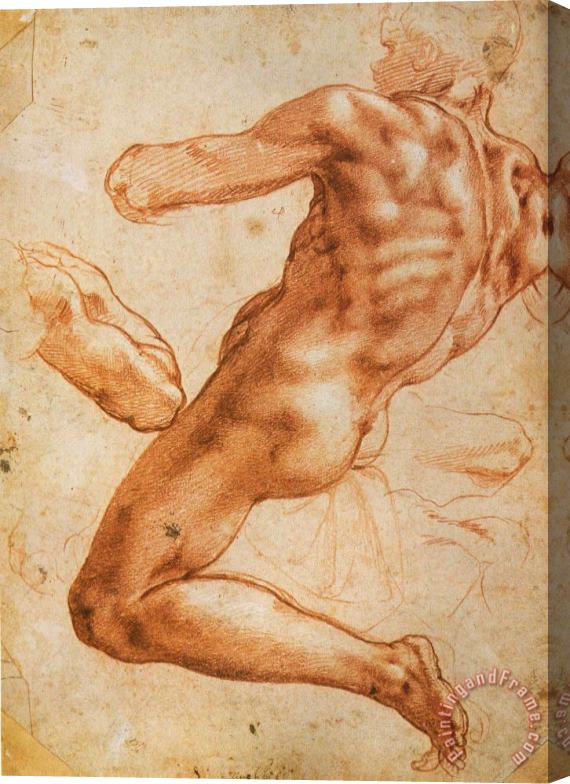 Michelangelo Buonarroti Study for an Ignudo Stretched Canvas Print / Canvas Art