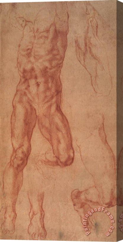 Michelangelo Buonarroti Study for Haman Stretched Canvas Painting / Canvas Art