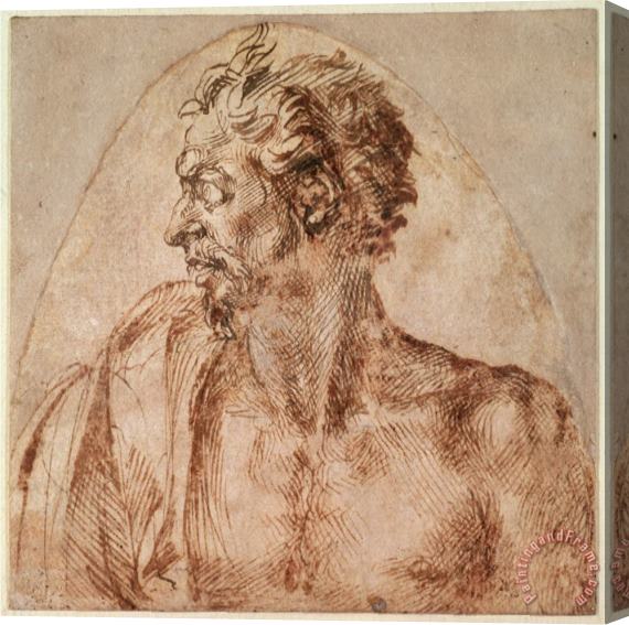 Michelangelo Buonarroti Study of Head And Shoulders Stretched Canvas Print / Canvas Art