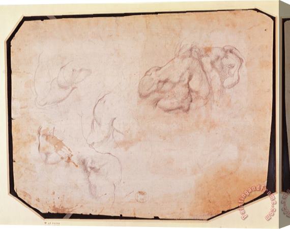 Michelangelo Buonarroti Study of Muscles Pencil on Paper Verso for Recto See 191769 Stretched Canvas Painting / Canvas Art