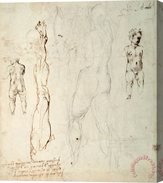 Michelangelo Buonarroti Study of The Christ Child And an Anatomical Drawing with Notes Stretched Canvas Print / Canvas Art