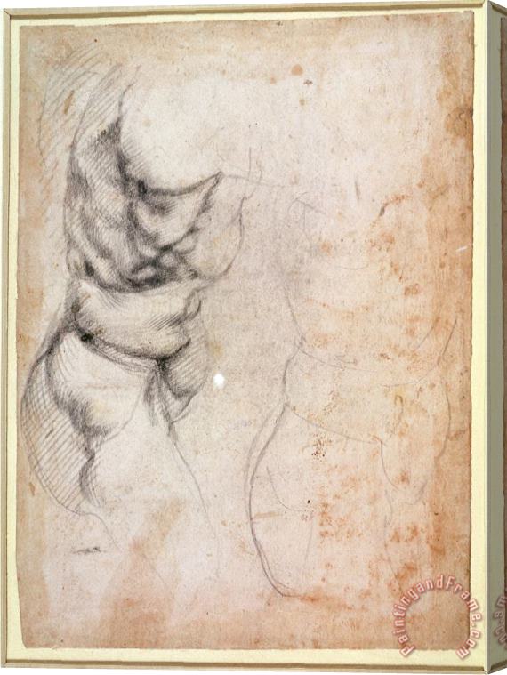 Michelangelo Buonarroti Study of Torso And Buttock Stretched Canvas Painting / Canvas Art