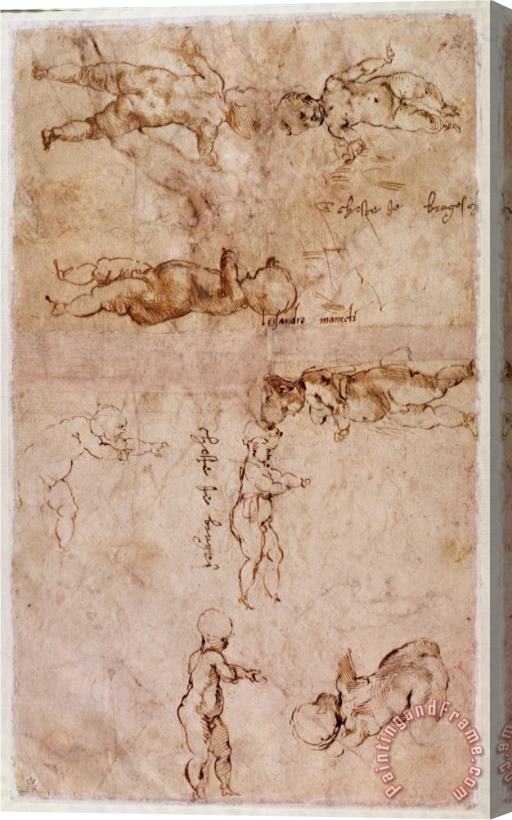 Michelangelo Buonarroti W 4v Page of Sketches of Babies Or Cherubs Stretched Canvas Print / Canvas Art