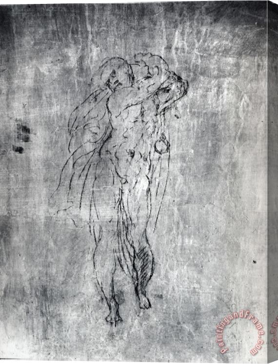 Michelangelo Buonarroti Wall Drawing of a Male Figure C 1530 Stretched Canvas Painting / Canvas Art