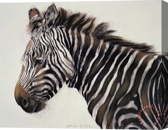 Odile Kidd Zebra Stretched Canvas Painting / Canvas Art