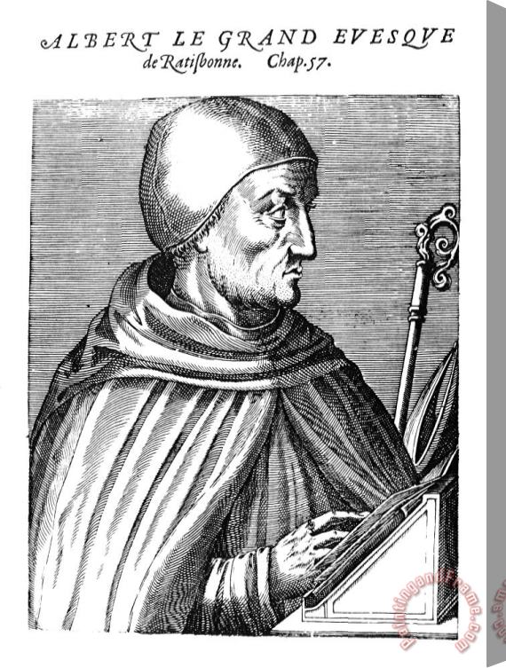 Others ALBERTUS MAGNUS (d.1280) Stretched Canvas Print / Canvas Art