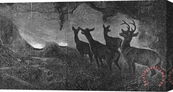 Others America: Deer Hunt, 1867 Stretched Canvas Painting / Canvas Art