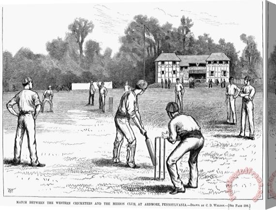 Others American Cricket, 1882 Stretched Canvas Print / Canvas Art