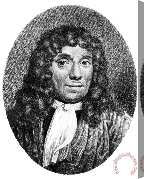 Others Anton Van Leeuwenhoek Stretched Canvas Painting / Canvas Art