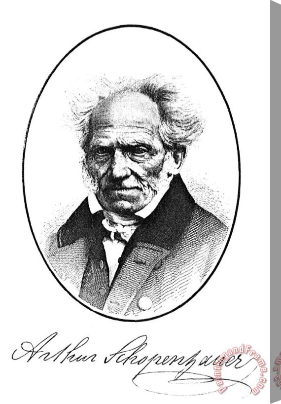 Others Arthur Schopenhauer Stretched Canvas Print / Canvas Art