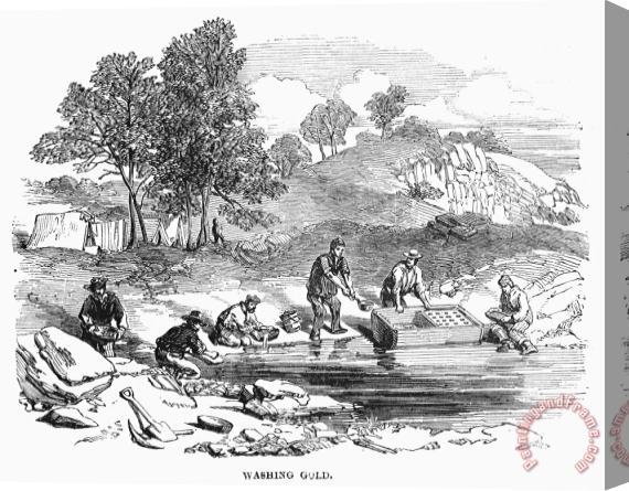 Others Australian Gold Rush, 1852 Stretched Canvas Painting / Canvas Art