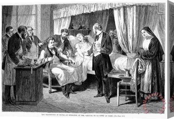 Others Blood Transfusion, 1874 Stretched Canvas Painting / Canvas Art