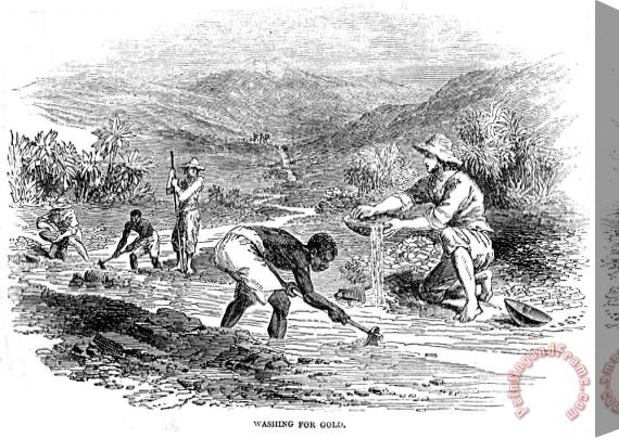 Others California Gold Rush, 1849 Stretched Canvas Print / Canvas Art