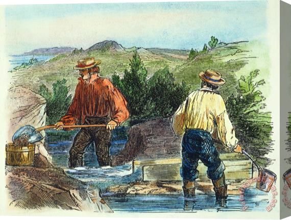 Others California Gold Rush Stretched Canvas Print / Canvas Art