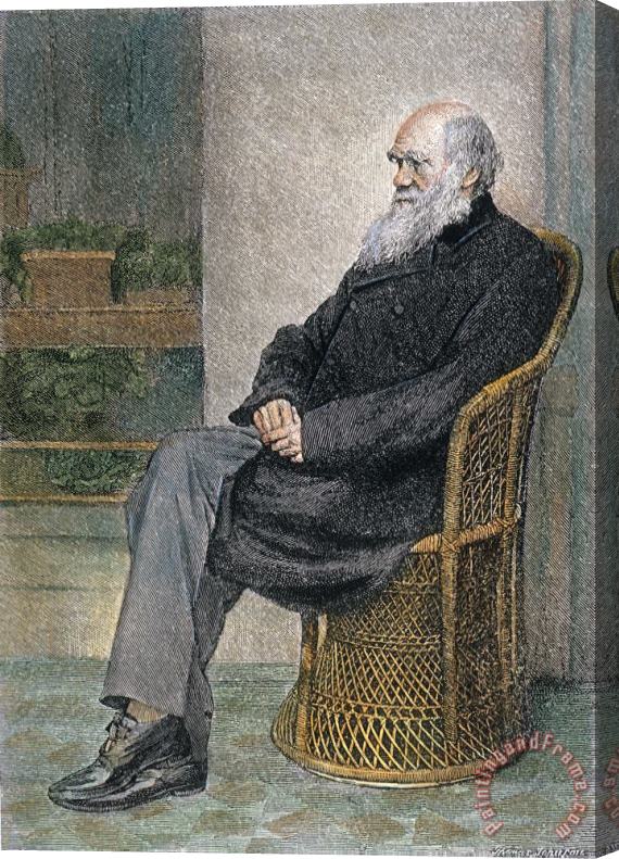 Others Charles Darwin (1809-1882) Stretched Canvas Print / Canvas Art
