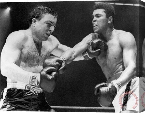 Others Chuvalo And Ali, 1966 Stretched Canvas Print / Canvas Art