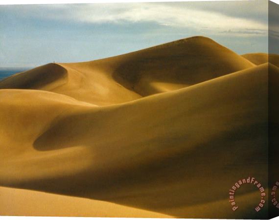 Others Colorado: Sand Dunes Stretched Canvas Print / Canvas Art