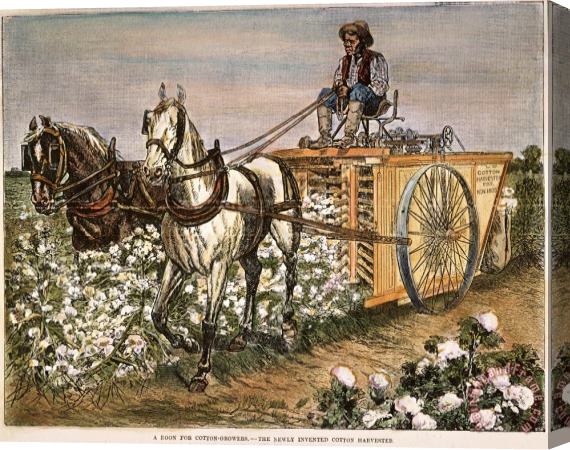 Others Cotton Harvester, 1886 Stretched Canvas Painting / Canvas Art