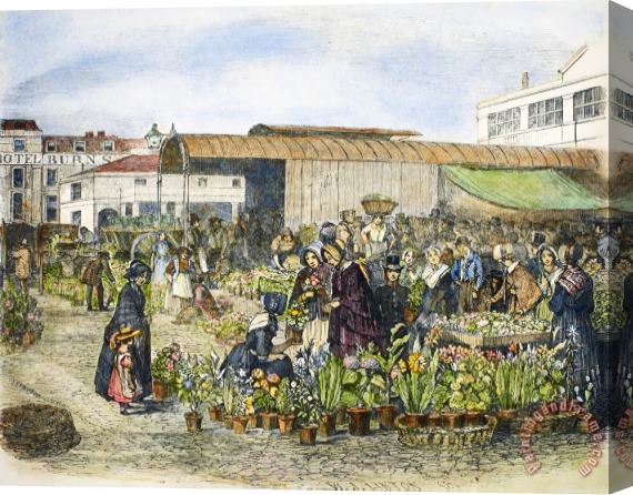 Others Covent Garden, 1848 Stretched Canvas Painting / Canvas Art