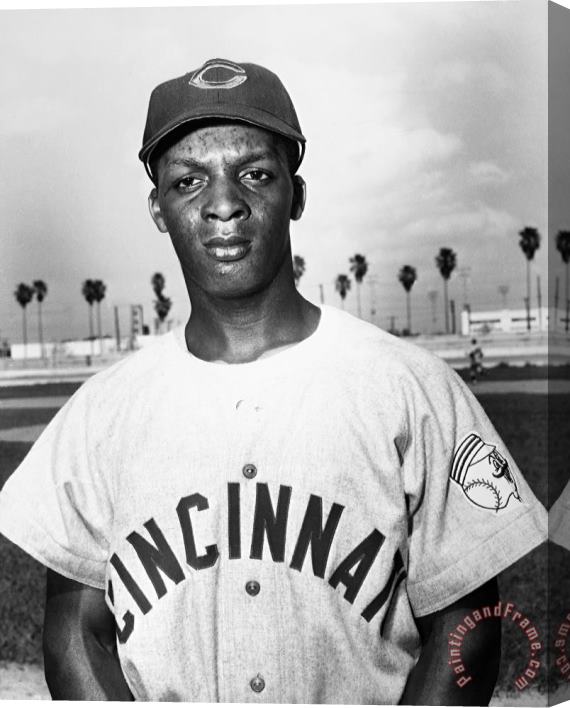 Others Curt Flood (1938- ) Stretched Canvas Print / Canvas Art