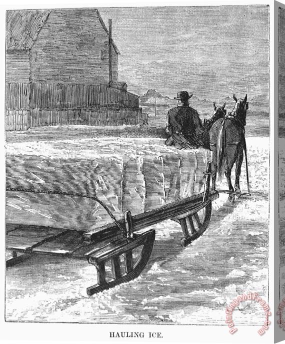 Others CUTTING ICE, c1870 Stretched Canvas Print / Canvas Art