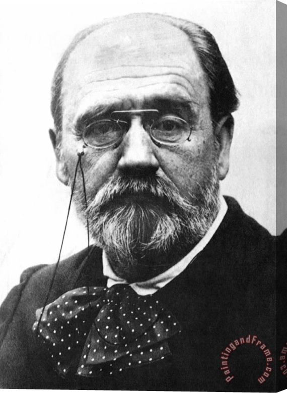 Others Emile Zola (1840-1902) Stretched Canvas Print / Canvas Art