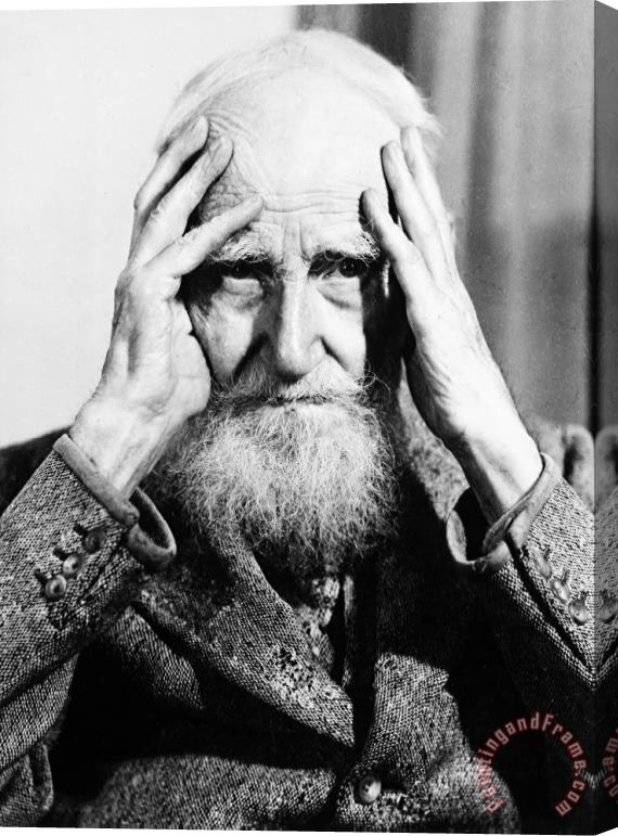 Others George Bernard Shaw Stretched Canvas Print / Canvas Art