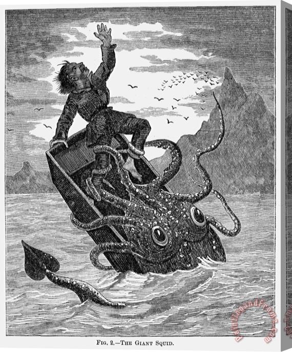 Others Giant Squid, 1879 Stretched Canvas Print / Canvas Art