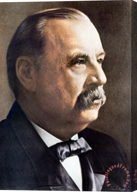 Others Grover Cleveland (1837-1908) Stretched Canvas Painting / Canvas Art