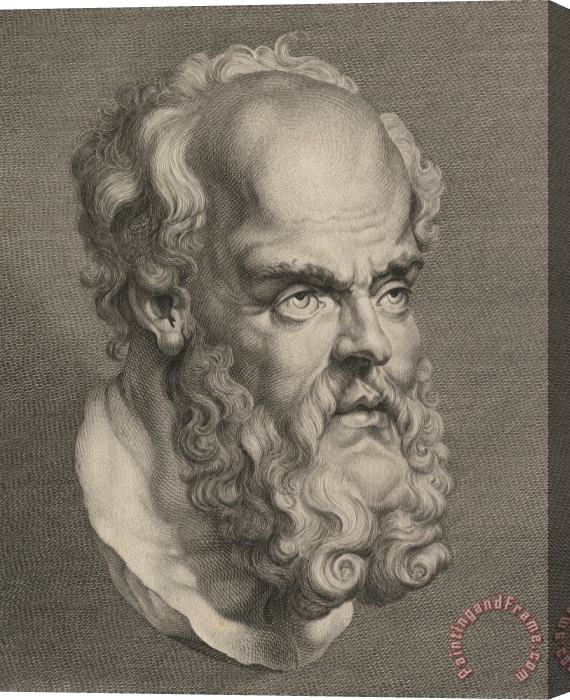 Others Head Of Socrates Stretched Canvas Print / Canvas Art