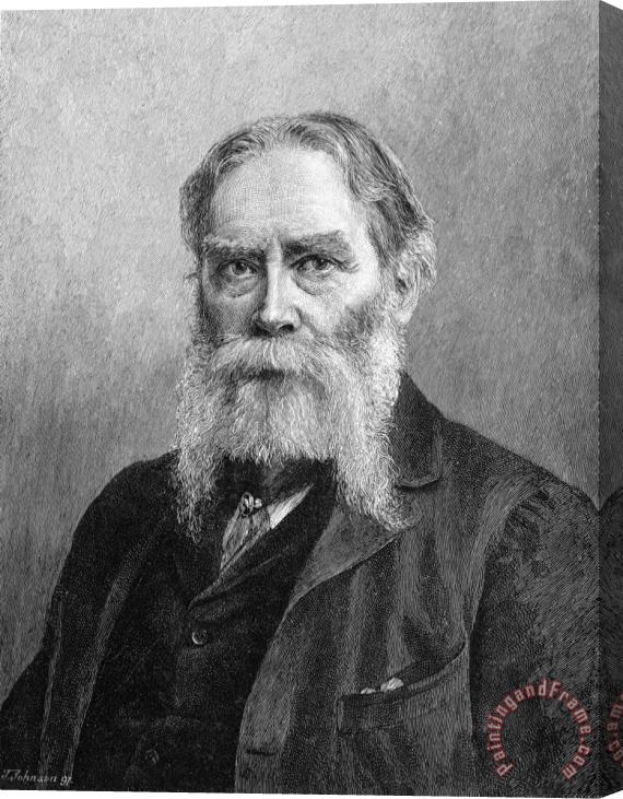 Others James Russell Lowell Stretched Canvas Print / Canvas Art