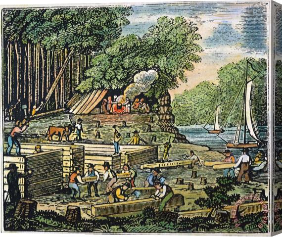 Others Jamestown: Settlement Stretched Canvas Painting / Canvas Art
