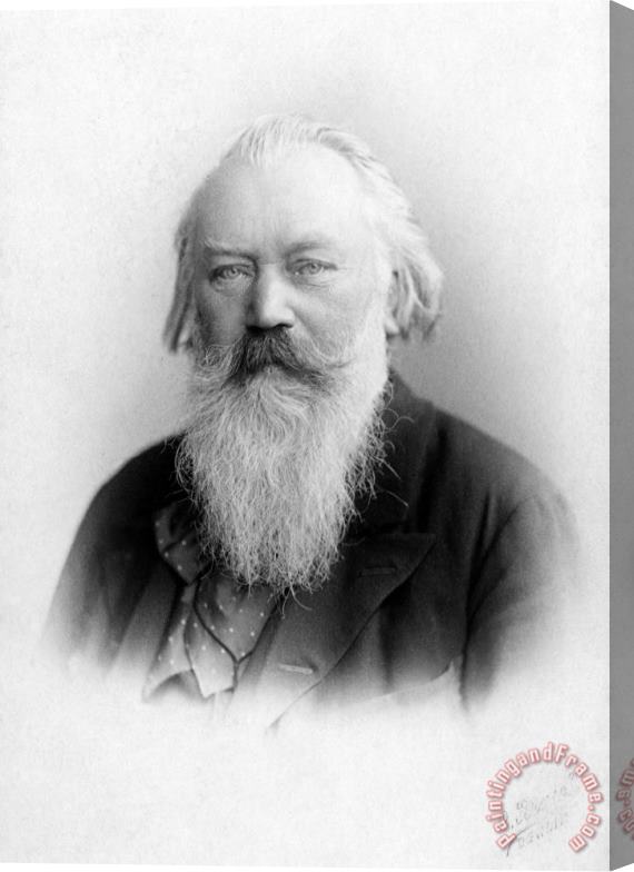 Others Johannes Brahms Stretched Canvas Print / Canvas Art