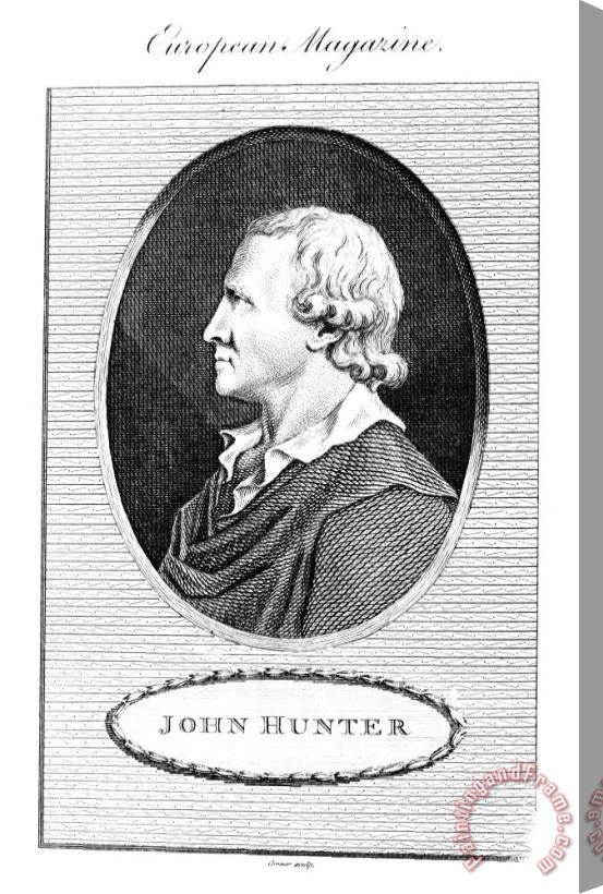 Others John Hunter (1728-1793) Stretched Canvas Print / Canvas Art