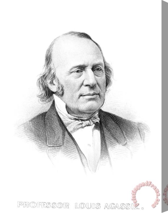 Others Louis Agassiz (1807-1873) Stretched Canvas Print / Canvas Art