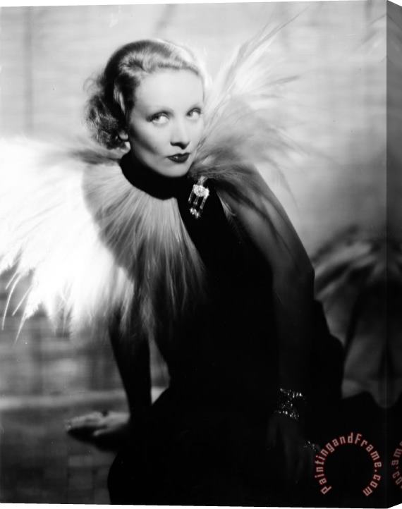 Others Marlene Dietrich (1901-1992) Stretched Canvas Print / Canvas Art