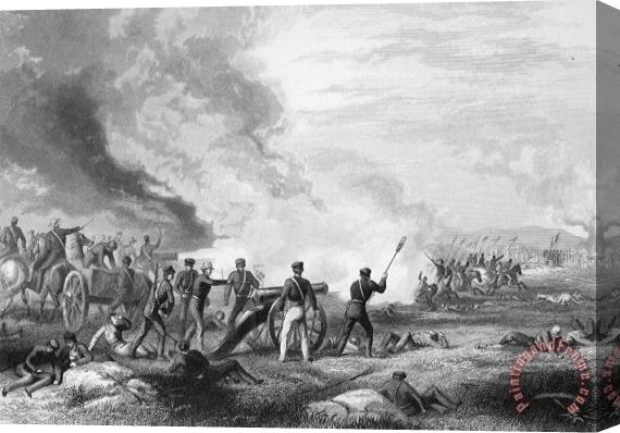 Others Mexican War: Palo Alto Stretched Canvas Painting / Canvas Art