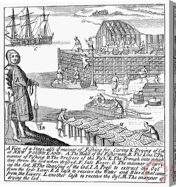 Others Newfoundland Fishery, 1738 Stretched Canvas Print / Canvas Art