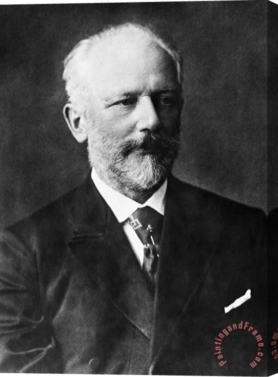 Others Peter Ilich Tchaikovsky Stretched Canvas Print / Canvas Art