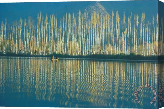 Others Poplars in late autumn sunlight Stretched Canvas Painting / Canvas Art