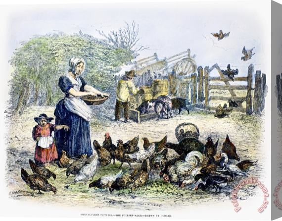 Others Poultry Yard, 1847 Stretched Canvas Painting / Canvas Art