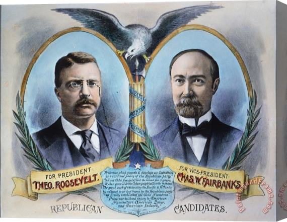 Others Presidential Campaign, 1904 Stretched Canvas Print / Canvas Art