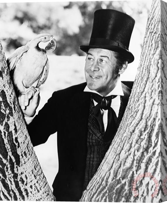 Others Rex Harrison (1908-1990) Stretched Canvas Print / Canvas Art