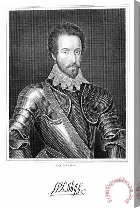 Others Sir Walter Raleigh Stretched Canvas Painting / Canvas Art